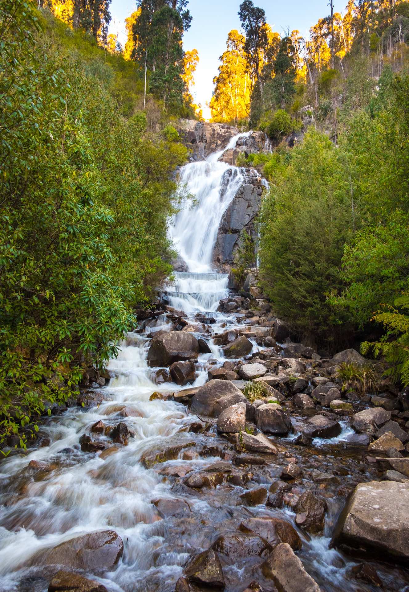 10 Best Day Hikes in Victoria, Photo by @a.canvas.of.light via Flickr. Steavenson Falls, Cathedral Ranges National Park