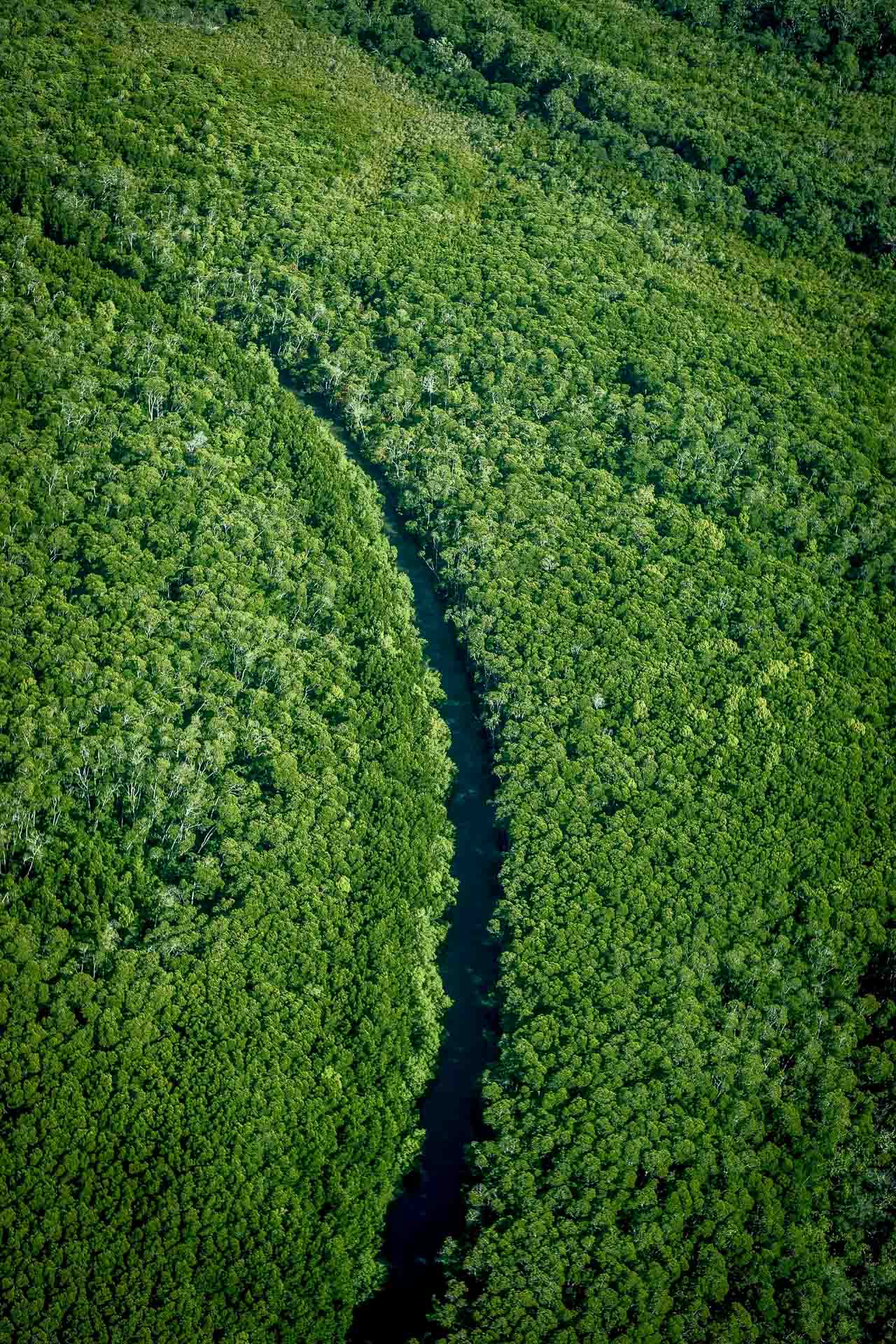 Finding Faith in the Far North, Photo by Bradley Schmidt, northern territory, tropical north, aerial photo of river through forest