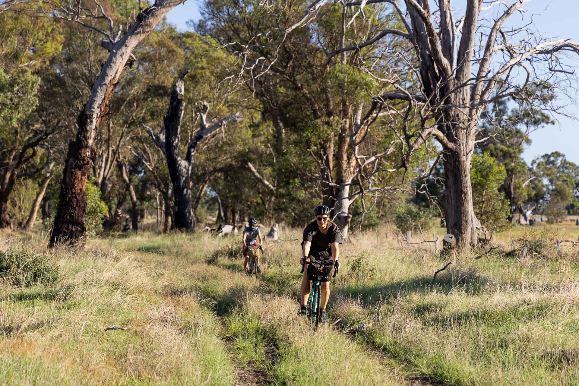 Our Bikepacking Trip Through the Strathbogie Ranges in Central Victoria, shot by @_lachiet, green grass, road, cyclist