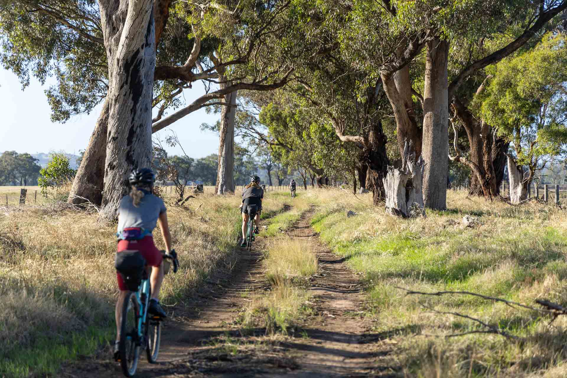 Our Bikepacking Trip Through the Strathbogie Ranges in Central Victoria, shot by @_lachiet, gravel, road, blue sky, dry grass, cyclist