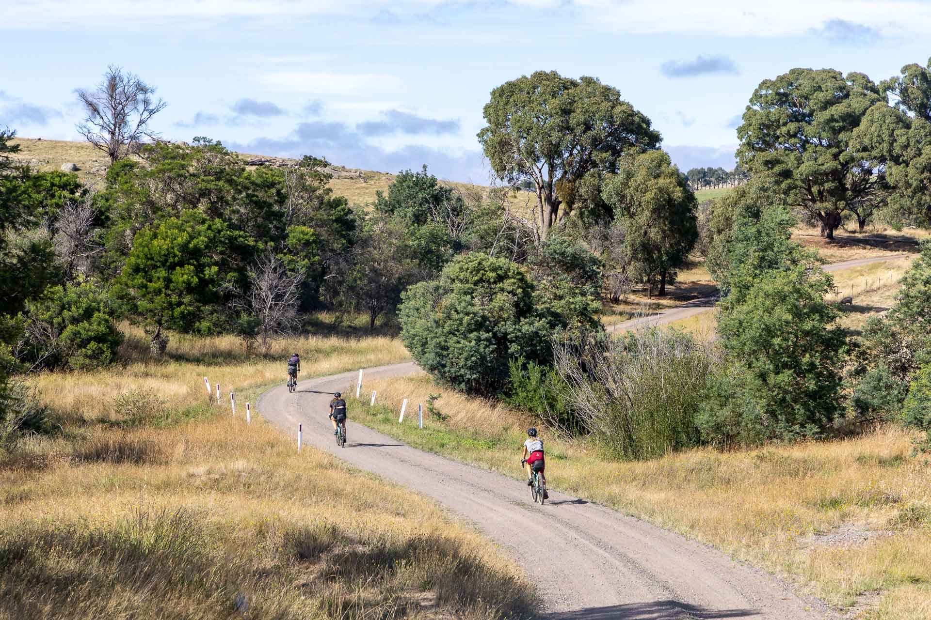 Our Bikepacking Trip Through the Strathbogie Ranges in Central Victoria, shot by @_lachiet, gravel road, cyclists, bike riding, gravel bike
