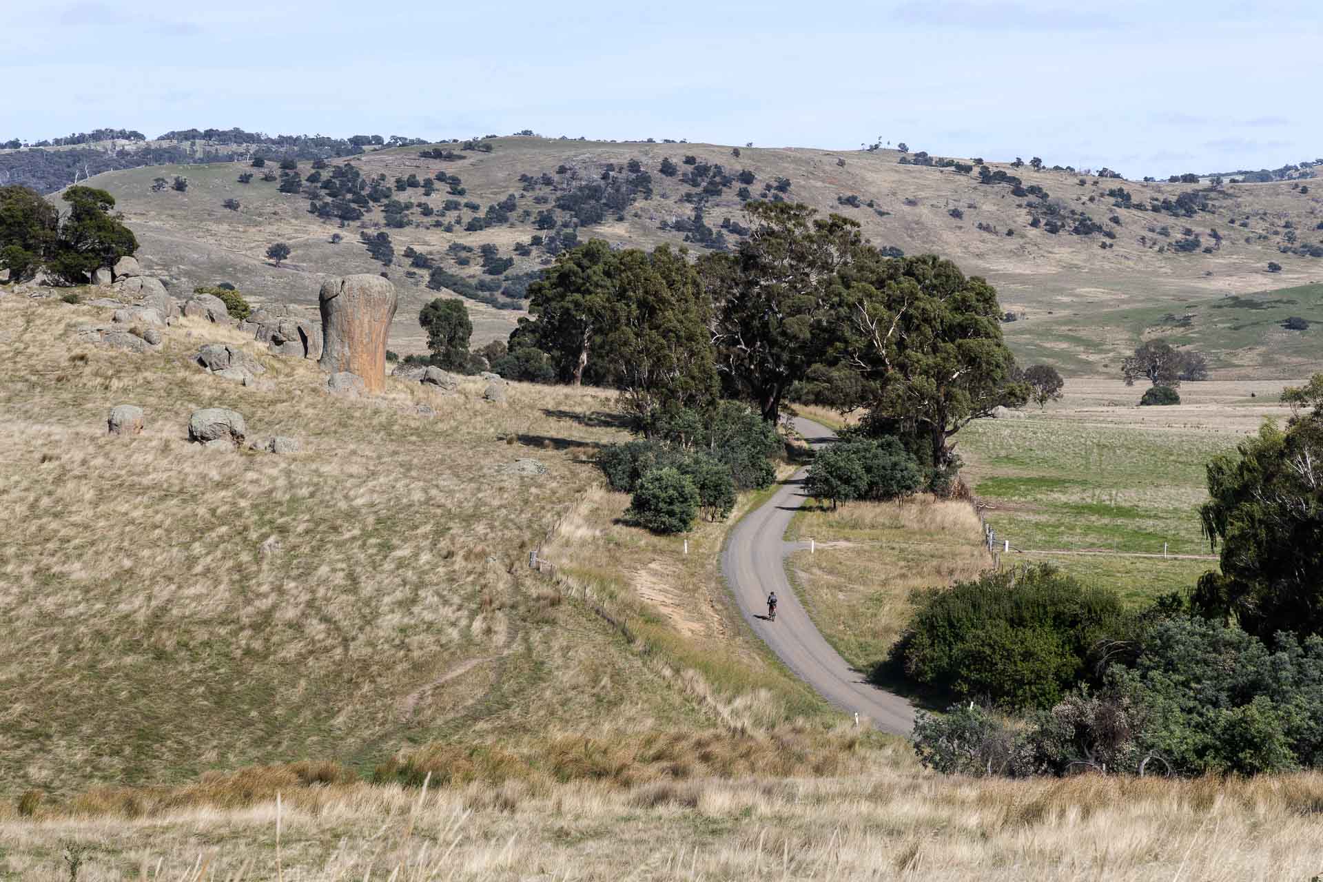 Our Bikepacking Trip Through the Strathbogie Ranges in Central Victoria, shot by @_lachiet, dry grass, road, cyclist