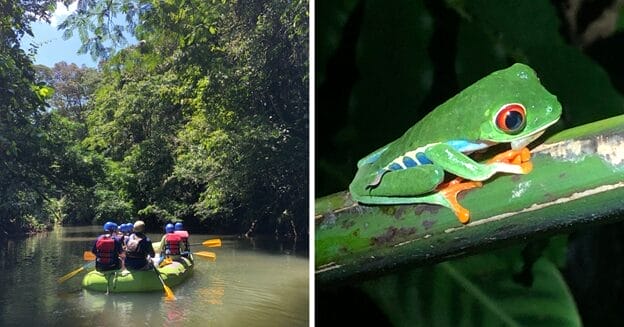 NatureArt Lab, ultimate nature tour