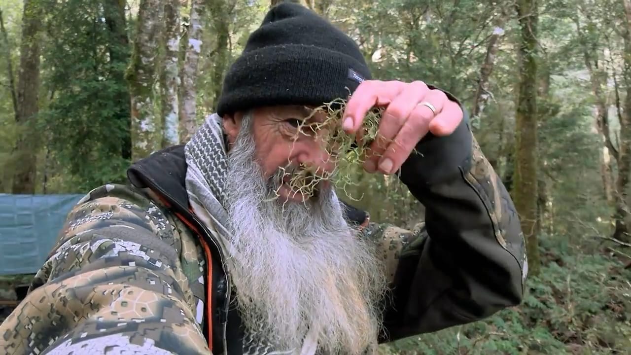 Alone Australia Season 2 Episode 2 Recap We Are Explorers