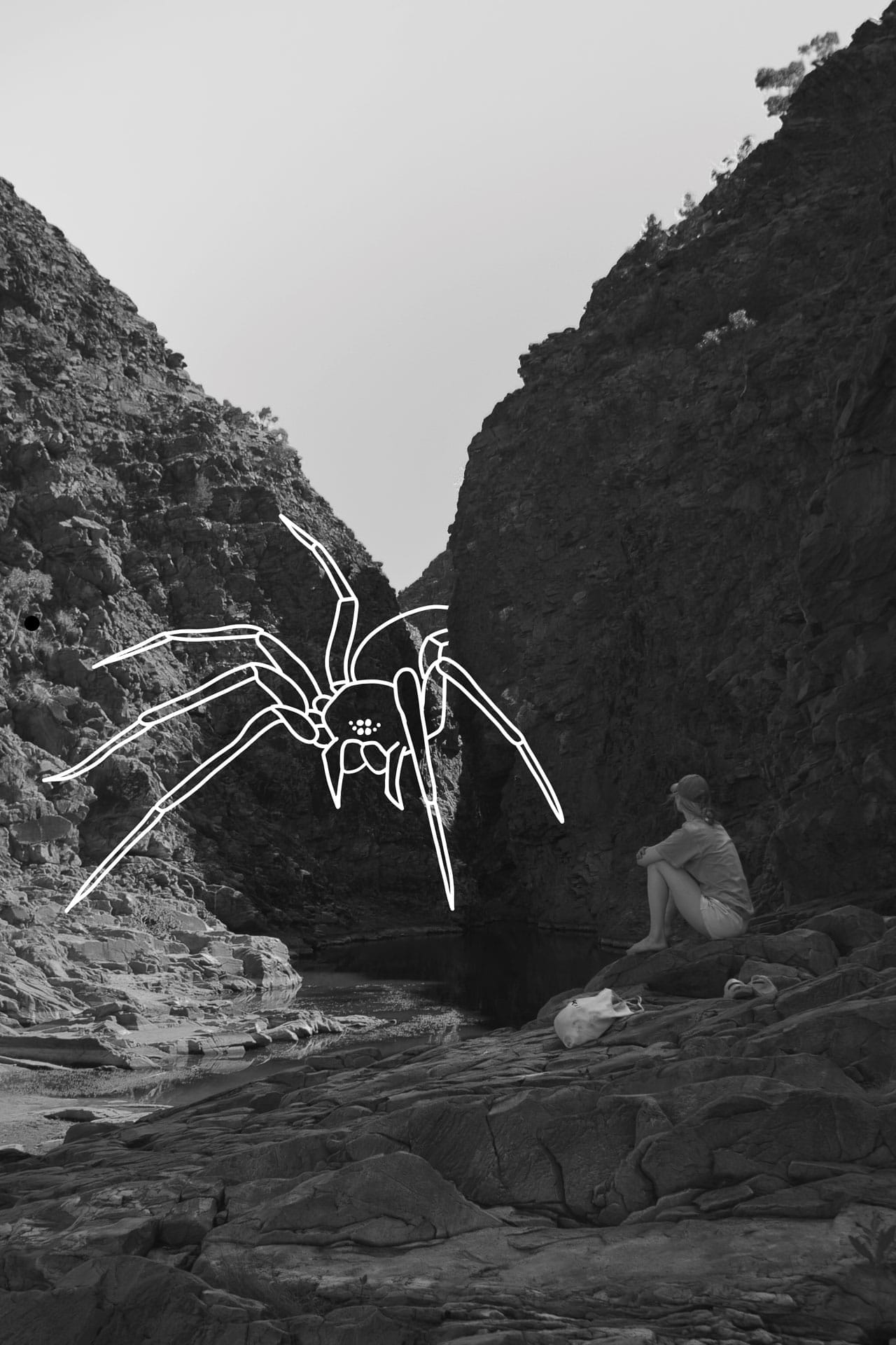 Not In Kansas Anymore: Reflections of a Yank Travelling Through Australia, Photo by Hugo R. Adumas, Drawing by Brem Bok, black and white photo with spider illustration over it