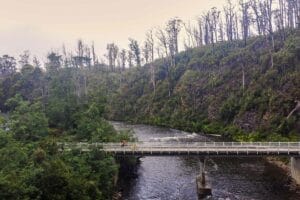 Bikepacking the North West Tassie Loop Through the Tarkine & Cradle Valley, Photo by Moey Strong, bikepacking, cycling, gravel bike, mountain bike, north west tasmania, crossing the bridge to the tarkine