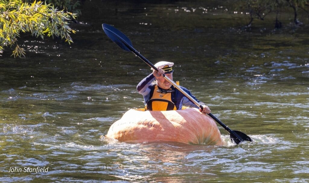 Tormund the giant pumpkin | Image John Stanfield