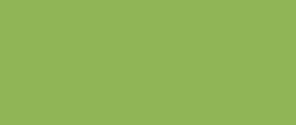 reflections X WAE logo green