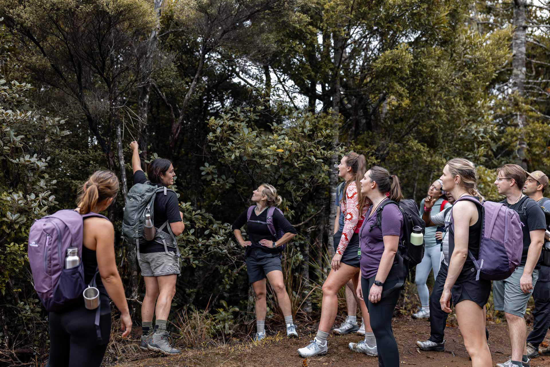 I Hiked a New Trail in New Zealand With New Friends and New Shoes, Photos by Dylan Arthur, Oboz, Katabatic Shoes Event, NZ, Hiking