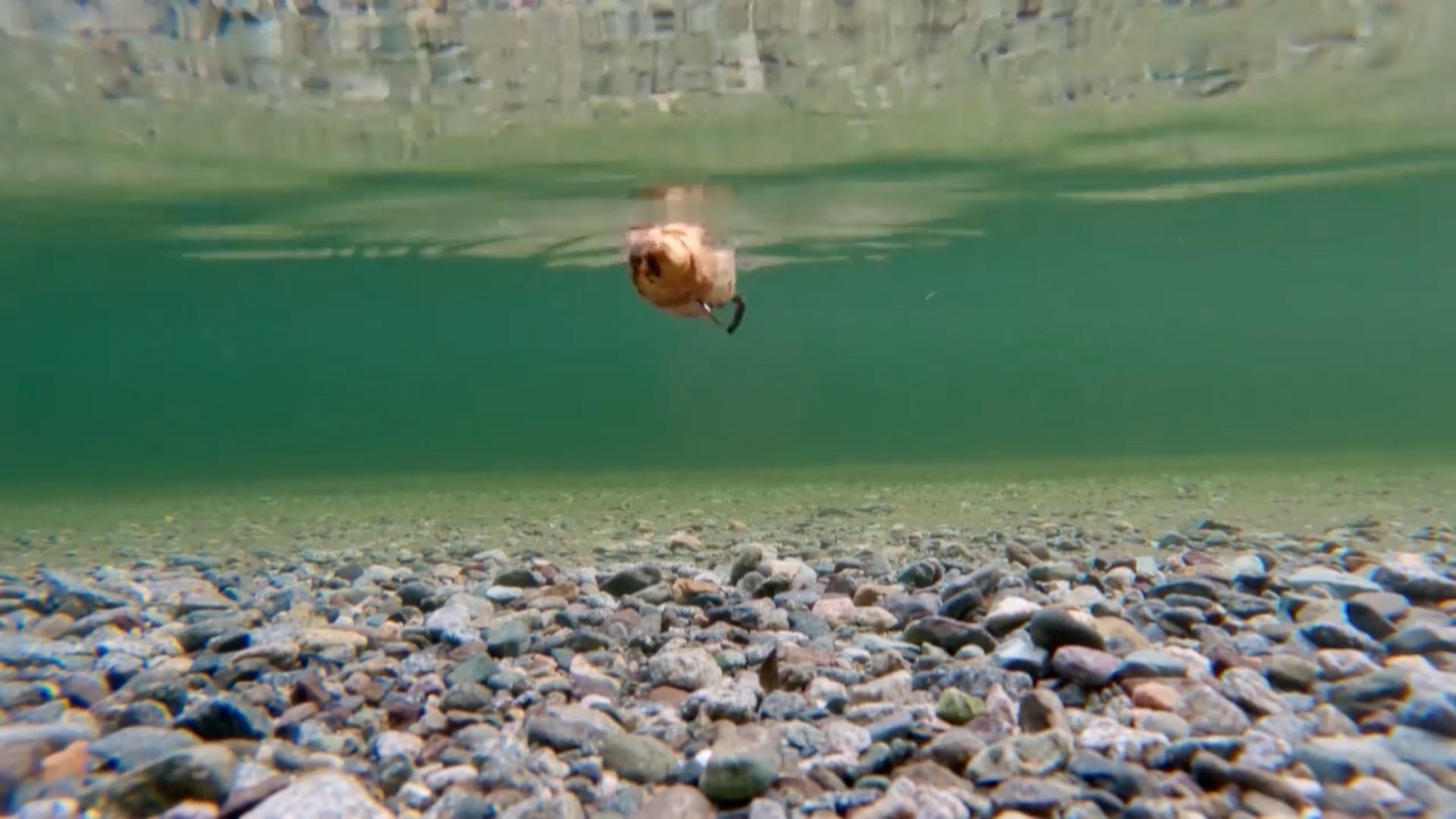 Alone Australian Season 2 Episode 7 Recap – Teach a Contestant To Fish…