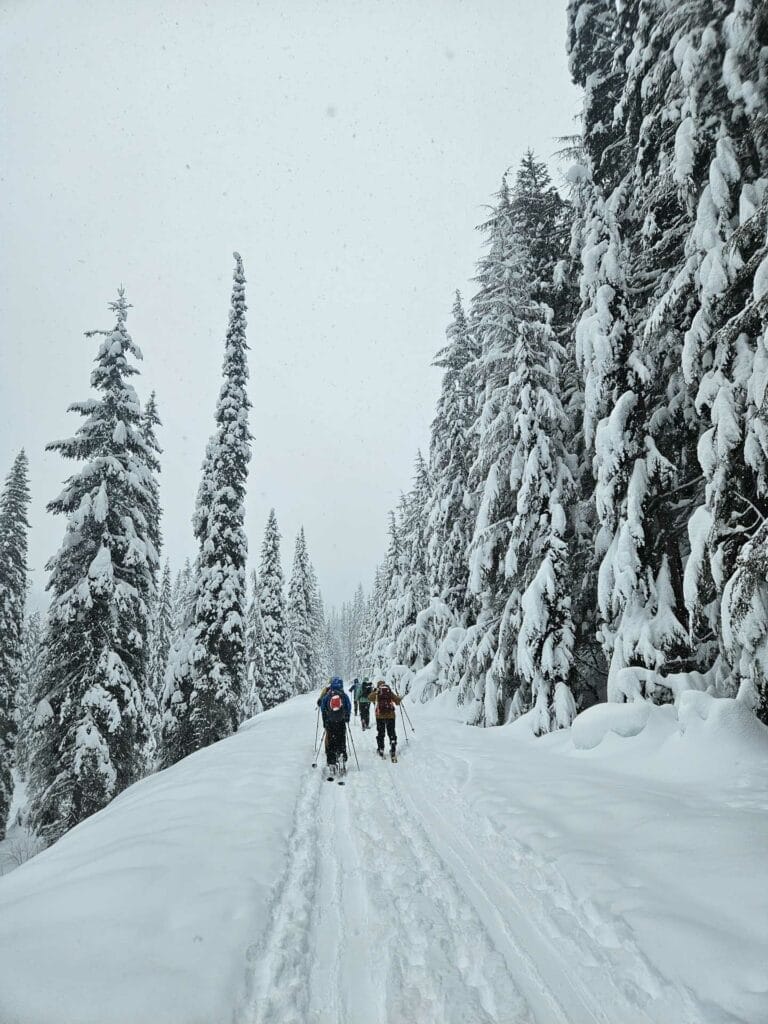 Mellow approach before the climb toward Illecillewaet Glacier Rogers Pass