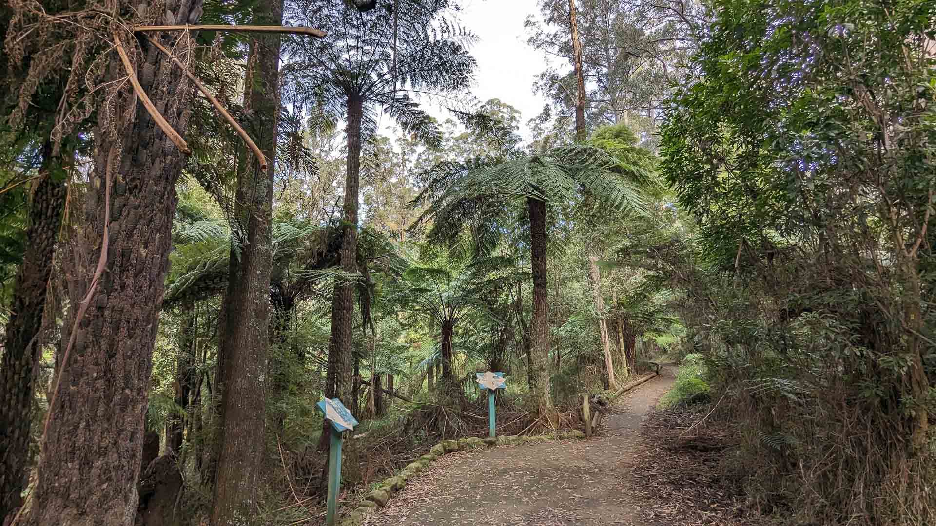 Best Bushwalks Near Melbourne, photo by @jessleenehme. Margaret Lester Rainforest Walk, Dandenong Ranges National Park, Victoria, info signs, interpretive walk, wheelchair accessible