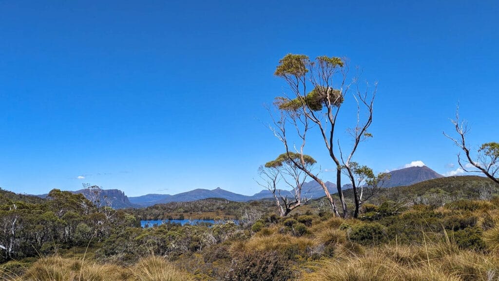 6 Places to Swim on Tasmania's Overland Track, Photo by Zofia Zayons, wild swimming, lake windermere
