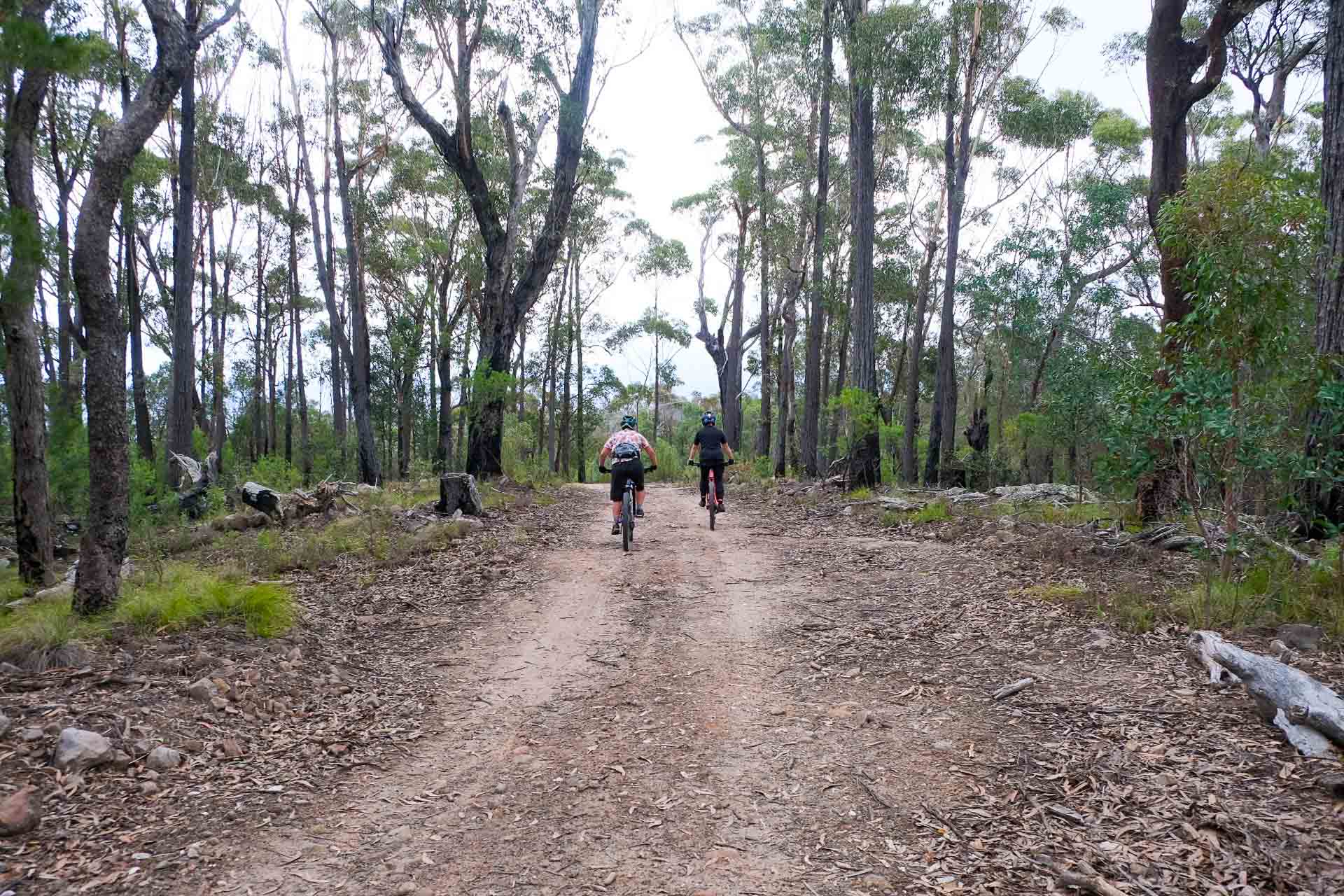 Gravity Eden – Dirt Surfing at NSW South Coast’s Newest Mountain Bike Park, Photo by Sarah Pendergrass, cycling, mountain biking, gravel biking, two cyclists riding through the bush