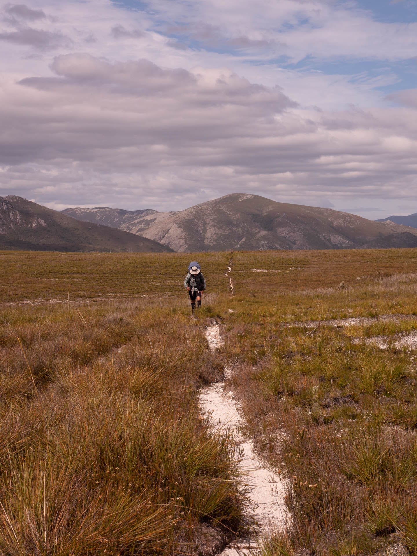 9 Things You Oughta Know Before Walking Tassie’s Western Arthurs Range, Photos by Ben Wells, Tasmania, walking Arthur Plains, trail