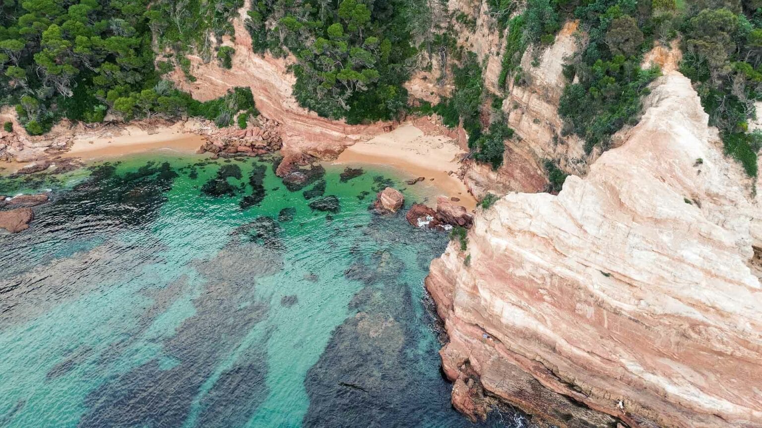 The Ultimate Explorer's Guide to Eden, NSW - We Are Explorers