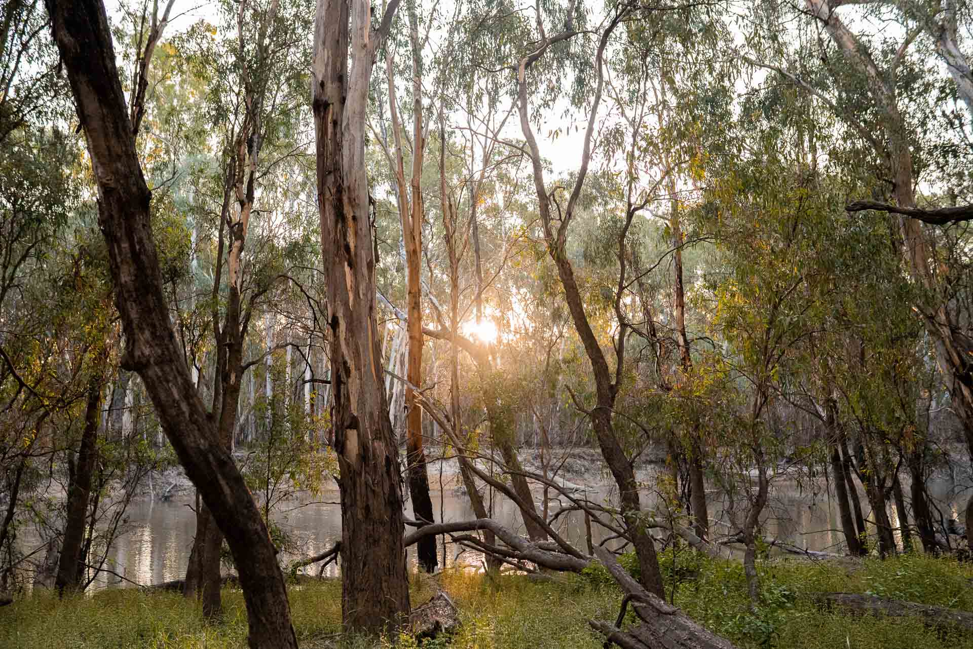 5 Best Fly Fishing Spots Near Melbourne We Are Explorers