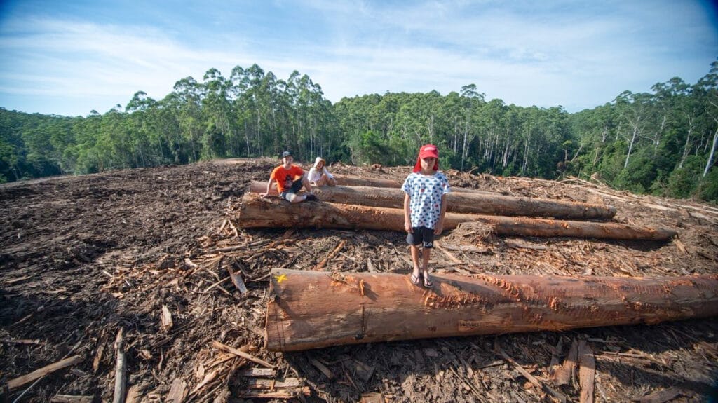 Tuckers Nob native forest logging protest