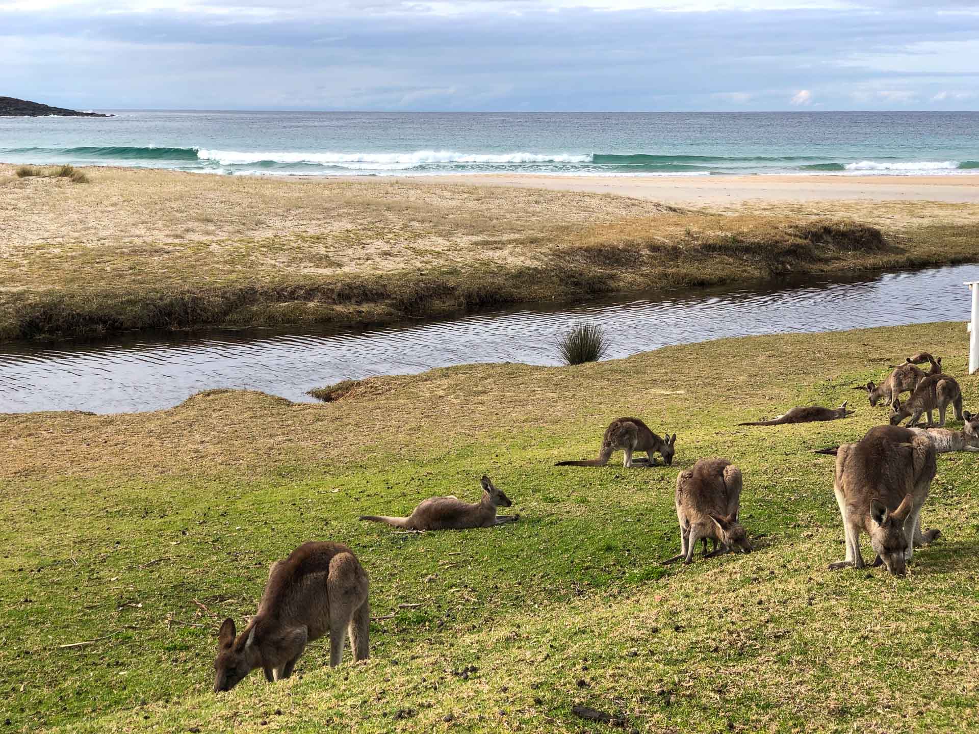 tourist drive south coast nsw