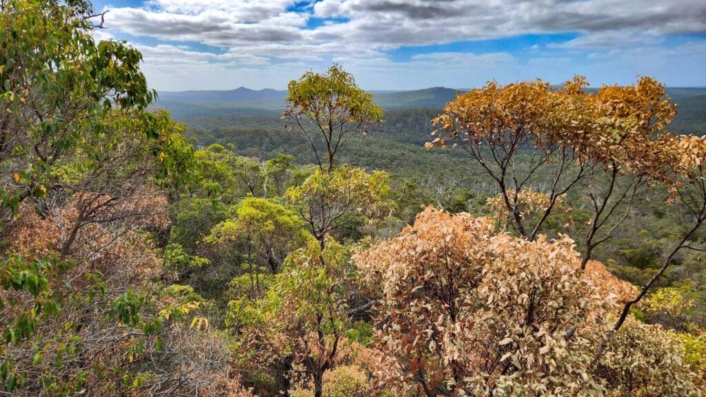 Margie Pumpa Wilderness walk lookout