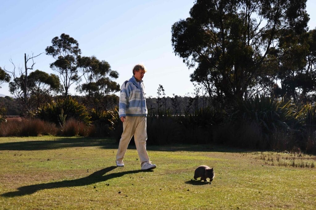 Walking Wombats is one of the odd jobs on offer | photo by Boxadmin Australia