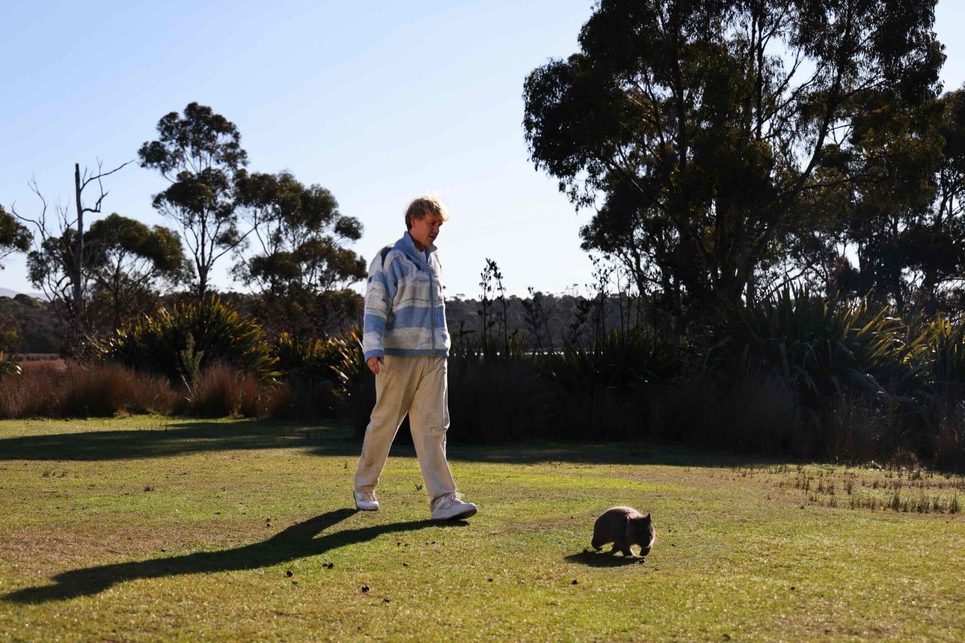 Tasmania is Taking Applications For Wombat Walkers – We Are Explorers