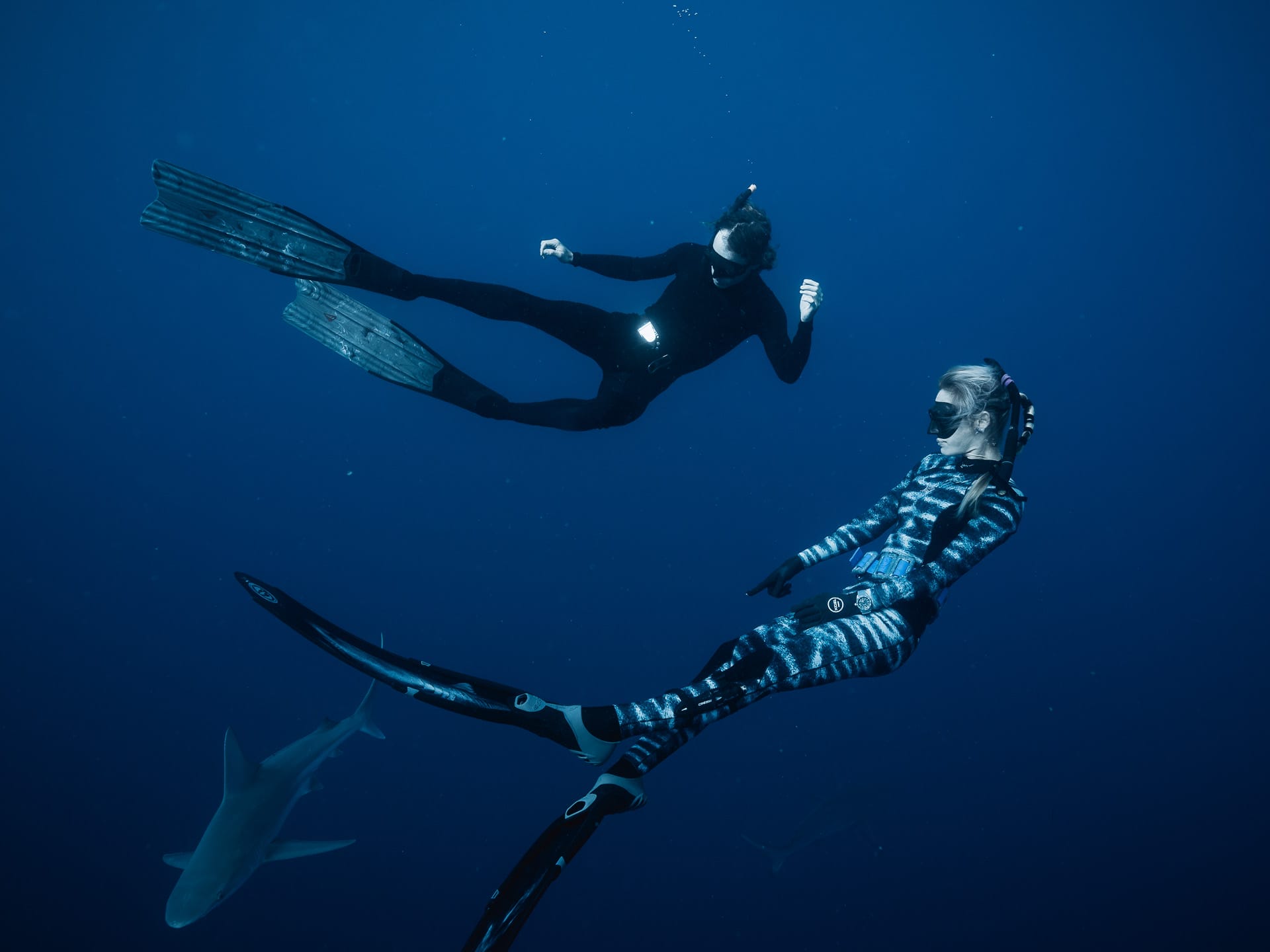 Everyone Should Swim with Sharks at Least Once, Hawaii, Hawai'i, Photography by Matt Horspool @etchd photography, Ocean Ramsay, ocean, sharks, one ocean diving,