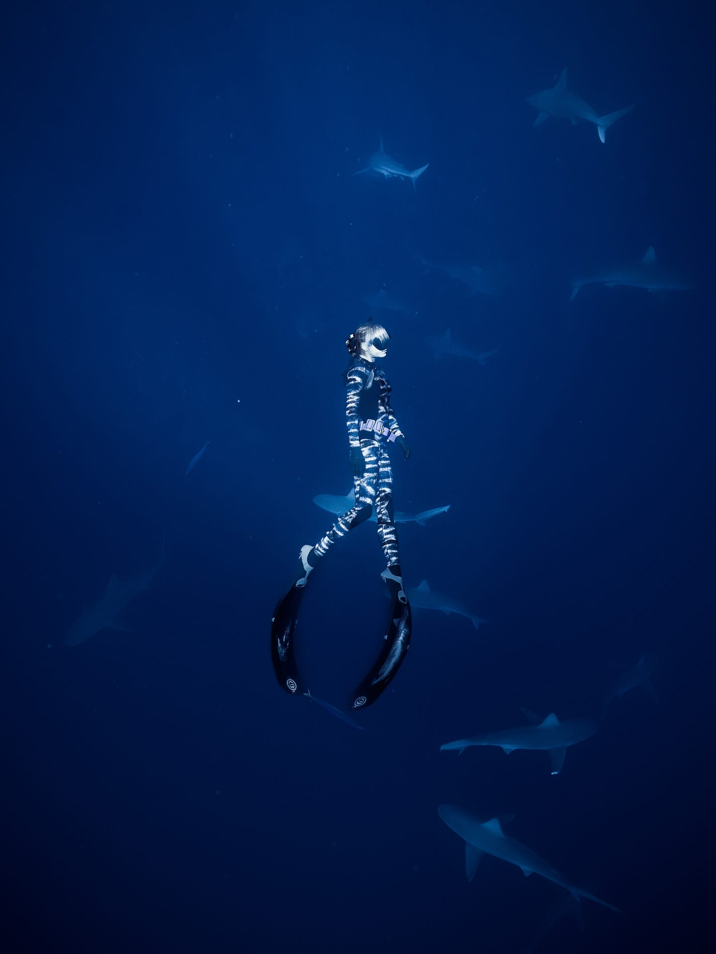Everyone Should Swim with Sharks at Least Once, Hawaii, Hawai'i, Photography by Matt Horspool @etchd photography, Ocean Ramsay, ocean, sharks, one ocean diving, fish, diver