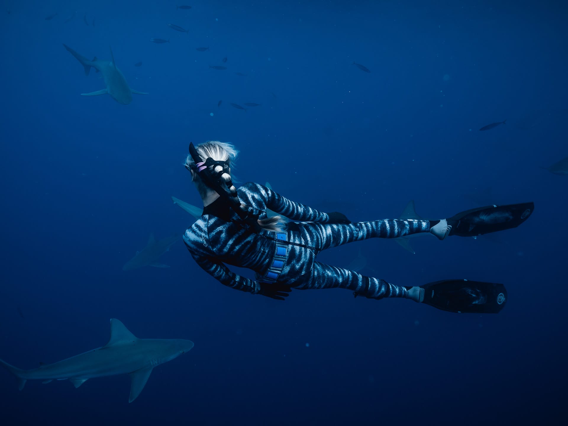 Everyone Should Swim with Sharks at Least Once, Hawaii, Hawai'i, Photography by Matt Horspool @etchd photography, Ocean Ramsay, ocean, sharks, one ocean diving,