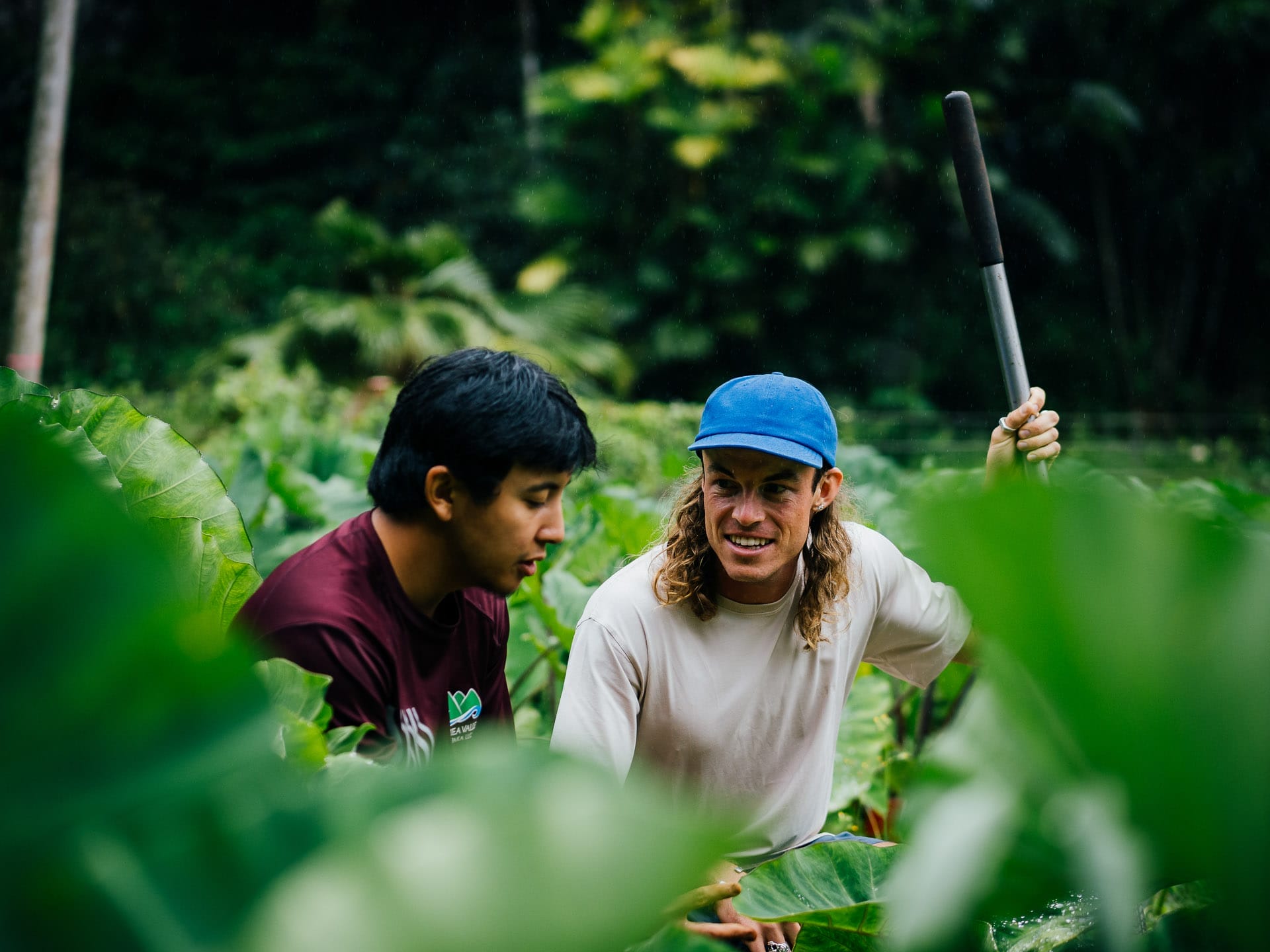 Discovering the Heart of Hawaiʻi: Farming Kalo in Waimea Valley, Hawaii, Photography by Matt Horspool, Etchd Photograhy. Dayton Supebedia, farming, vegetable, food, paddock, talking