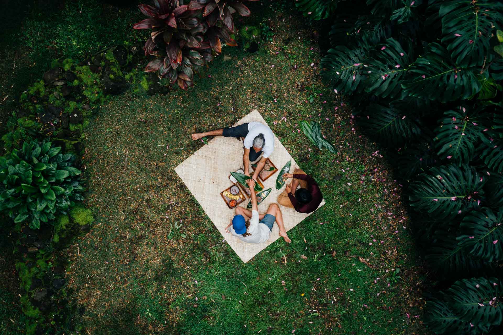 Discovering the Heart of Hawaiʻi: Farming Kalo in Waimea Valley, Hawaii, Photography by Matt Horspool, Etchd Photograhy. Dayton Supebedia, picnic, food