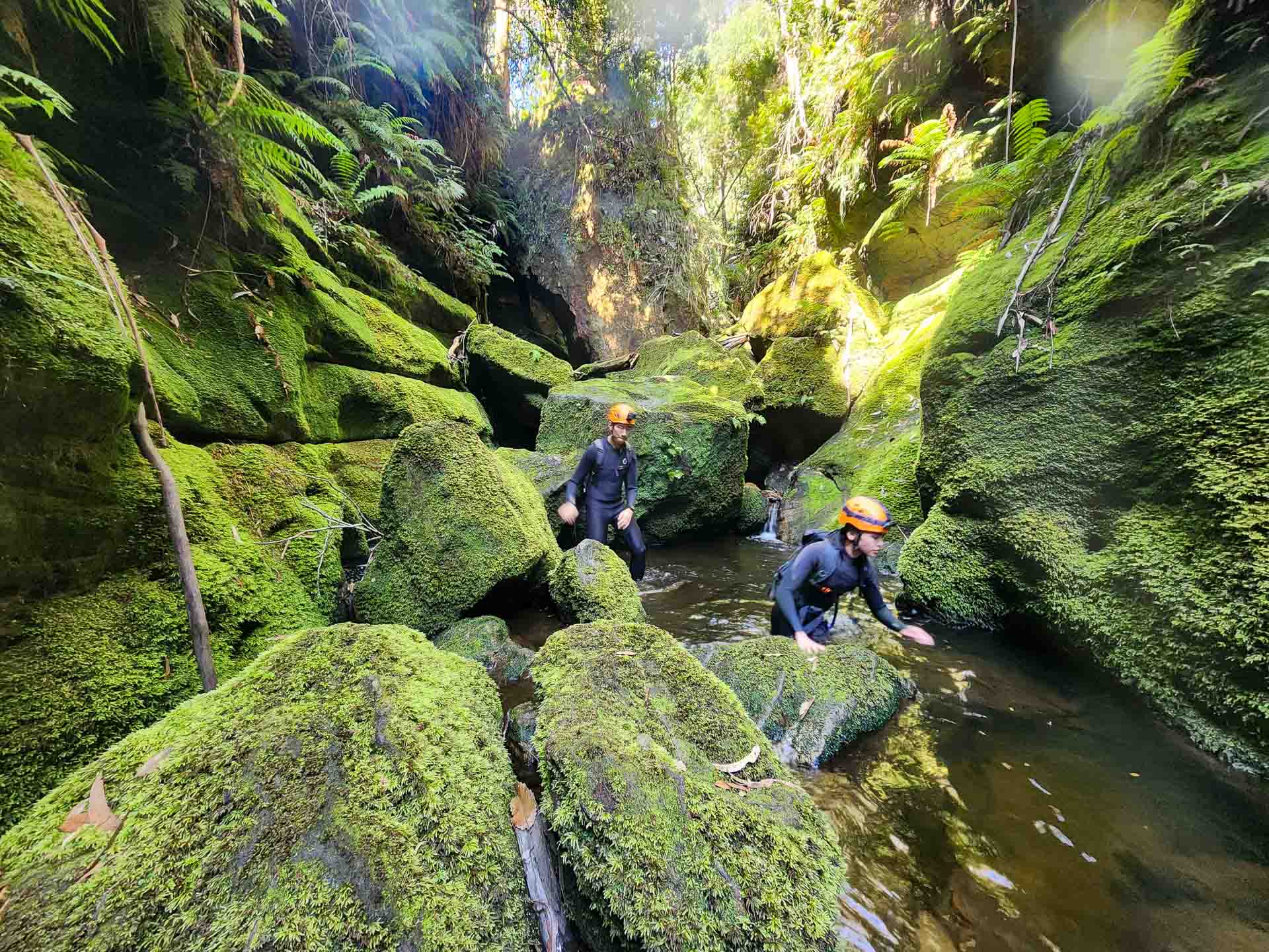 Hat Hill Canyon - One of the Blue Mountains' Best Kept Secrets, NSW, Canyoning, Photos by Connor Fisher, hikers, forest, green moss, river, helmet,
