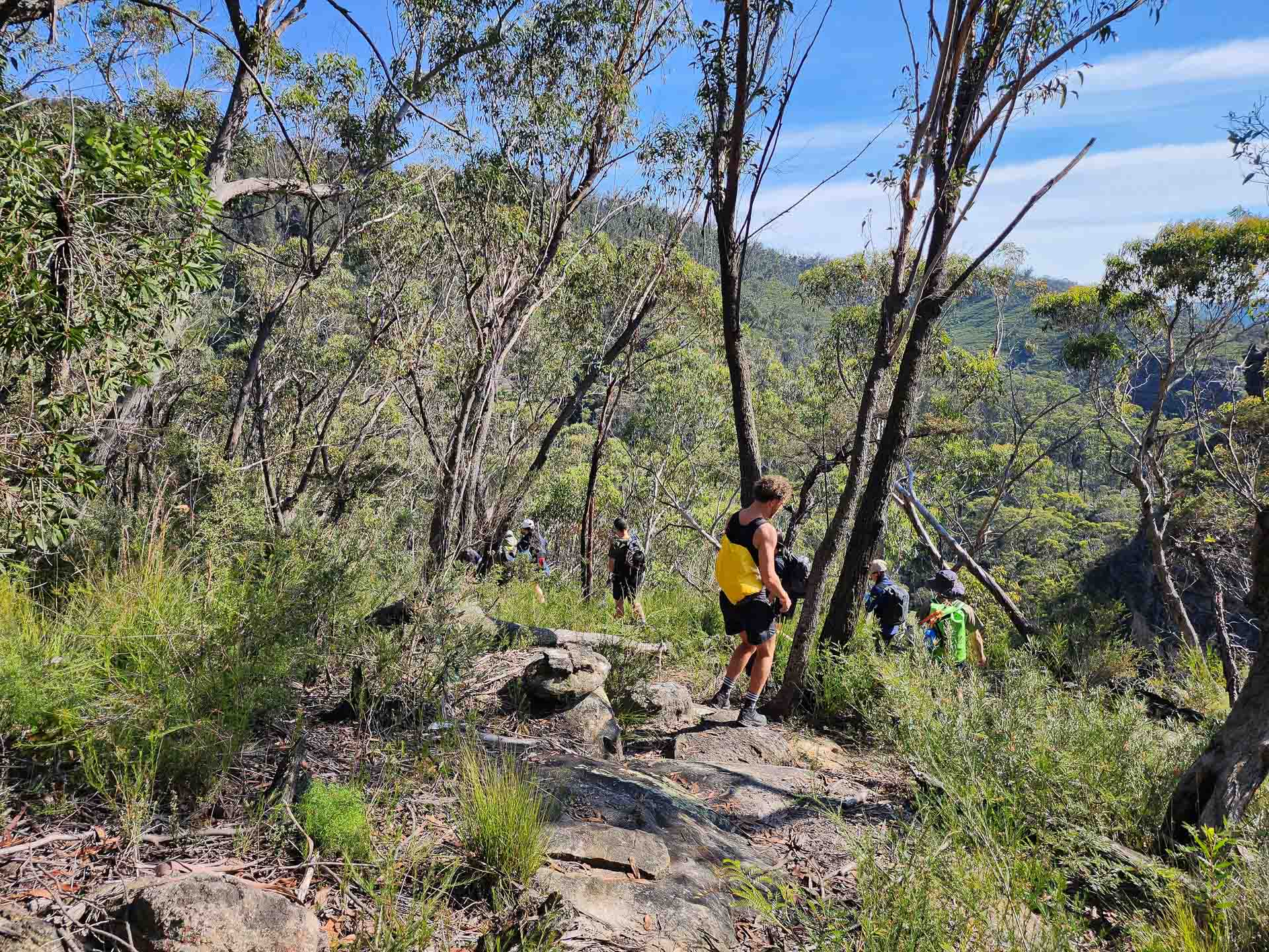 Hat Hill Canyon - One of the Blue Mountains' Best Kept Secrets, NSW, Canyoning, Photos by Connor Fisher, hikers, forest,