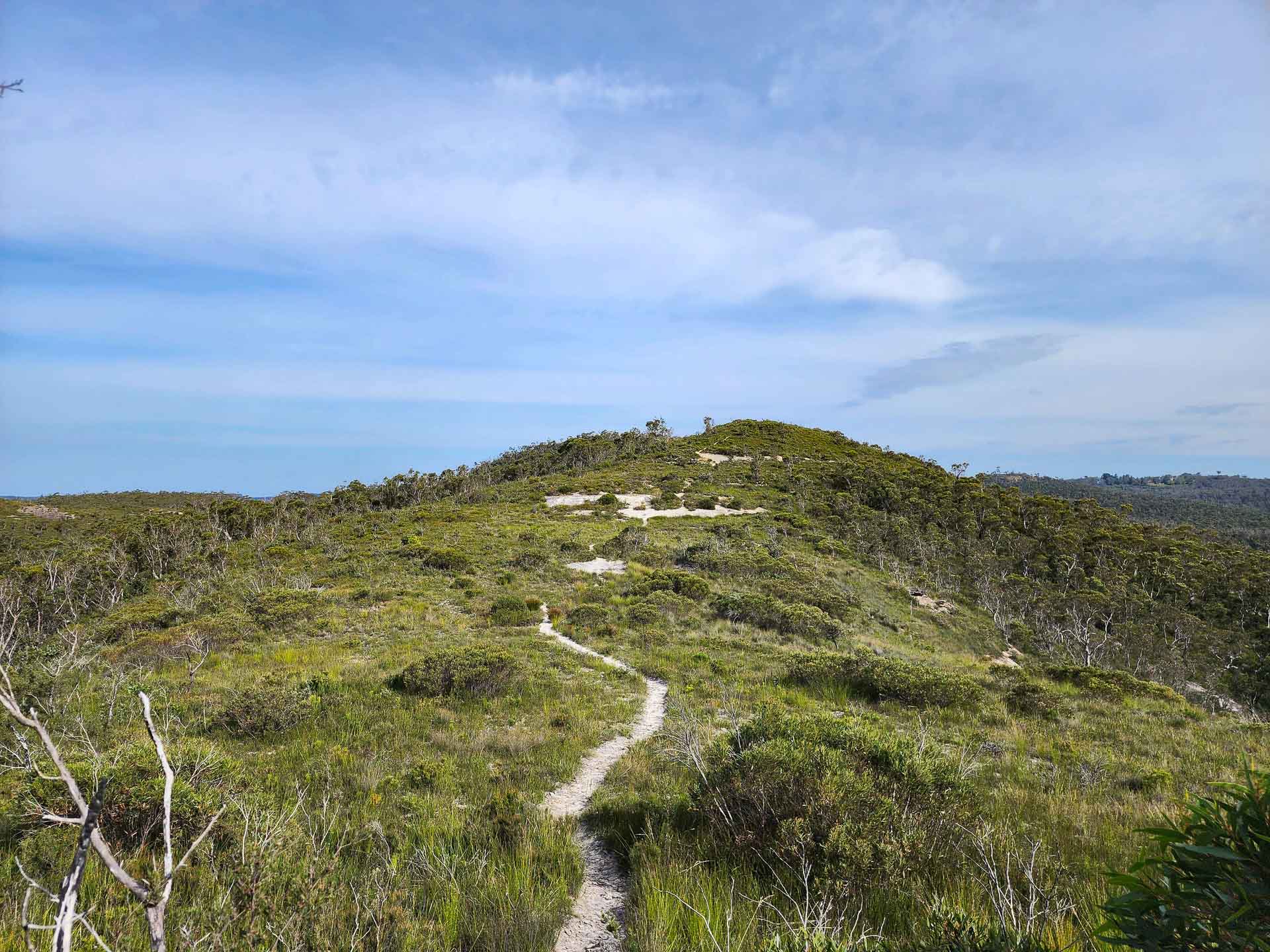 Hat Hill Canyon - One of the Blue Mountains' Best Kept Secrets, NSW, Canyoning, Photos by Connor Fisher, hikers, forest, hill, trail,