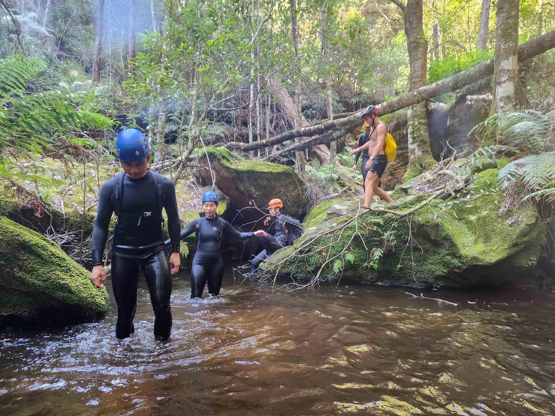 Hat Hill Canyon - One of the Blue Mountains' Best Kept Secrets, NSW, Canyoning, Photos by Connor Fisher, hikers, forest, green moss, river, helmet,