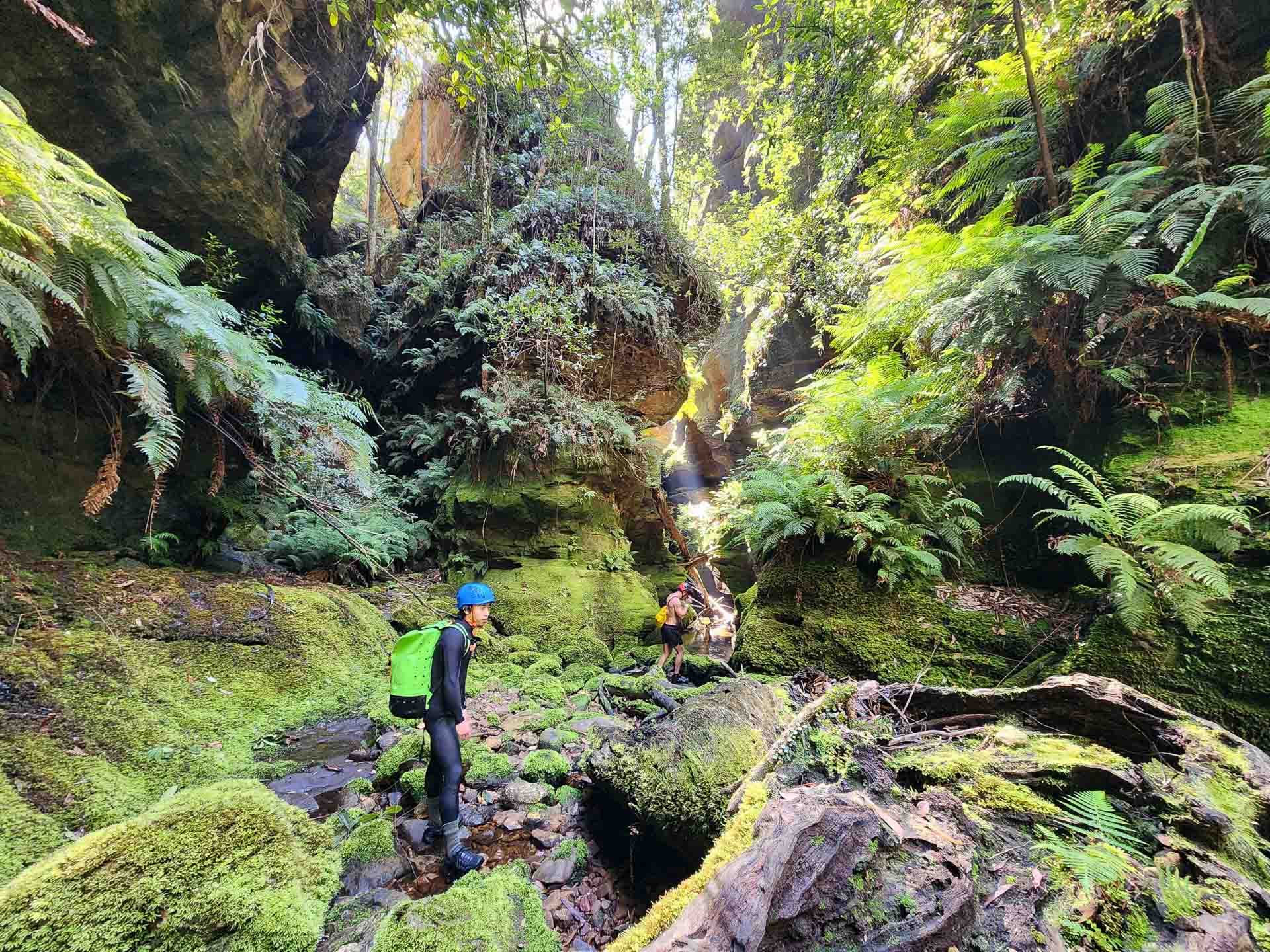 Hat Hill Canyon - One of the Blue Mountains' Best Kept Secrets, NSW, Photos by Connor Fisher, hikers, forest, green moss