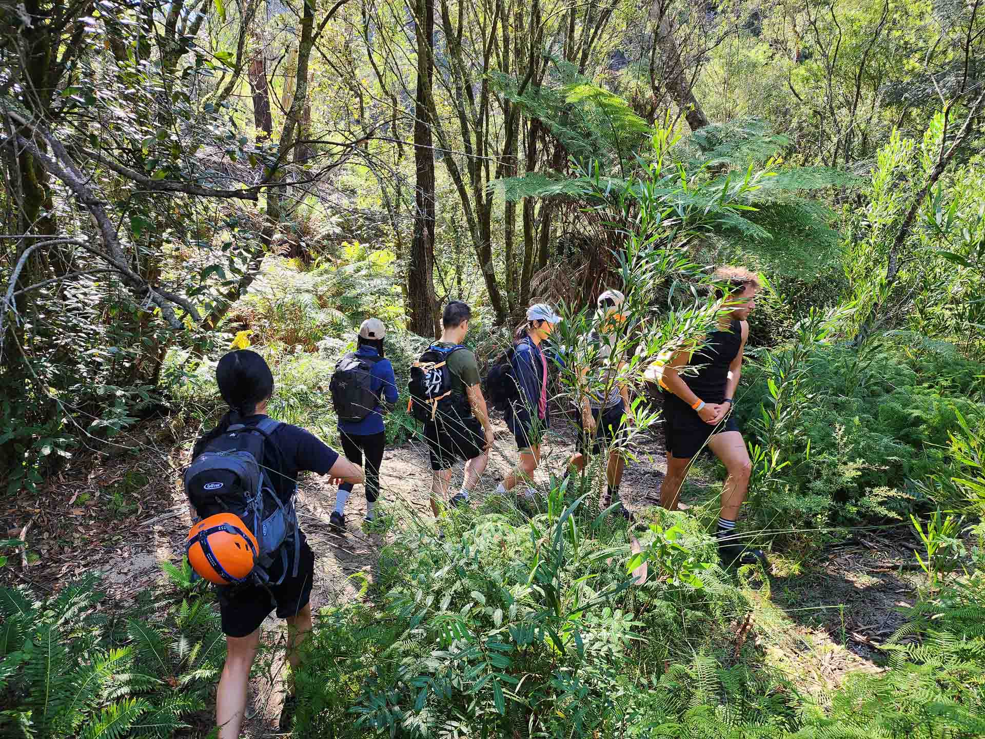 Hat Hill Canyon - One of the Blue Mountains' Best Kept Secrets, NSW, Photos by Connor Fisher, hikers, forest,