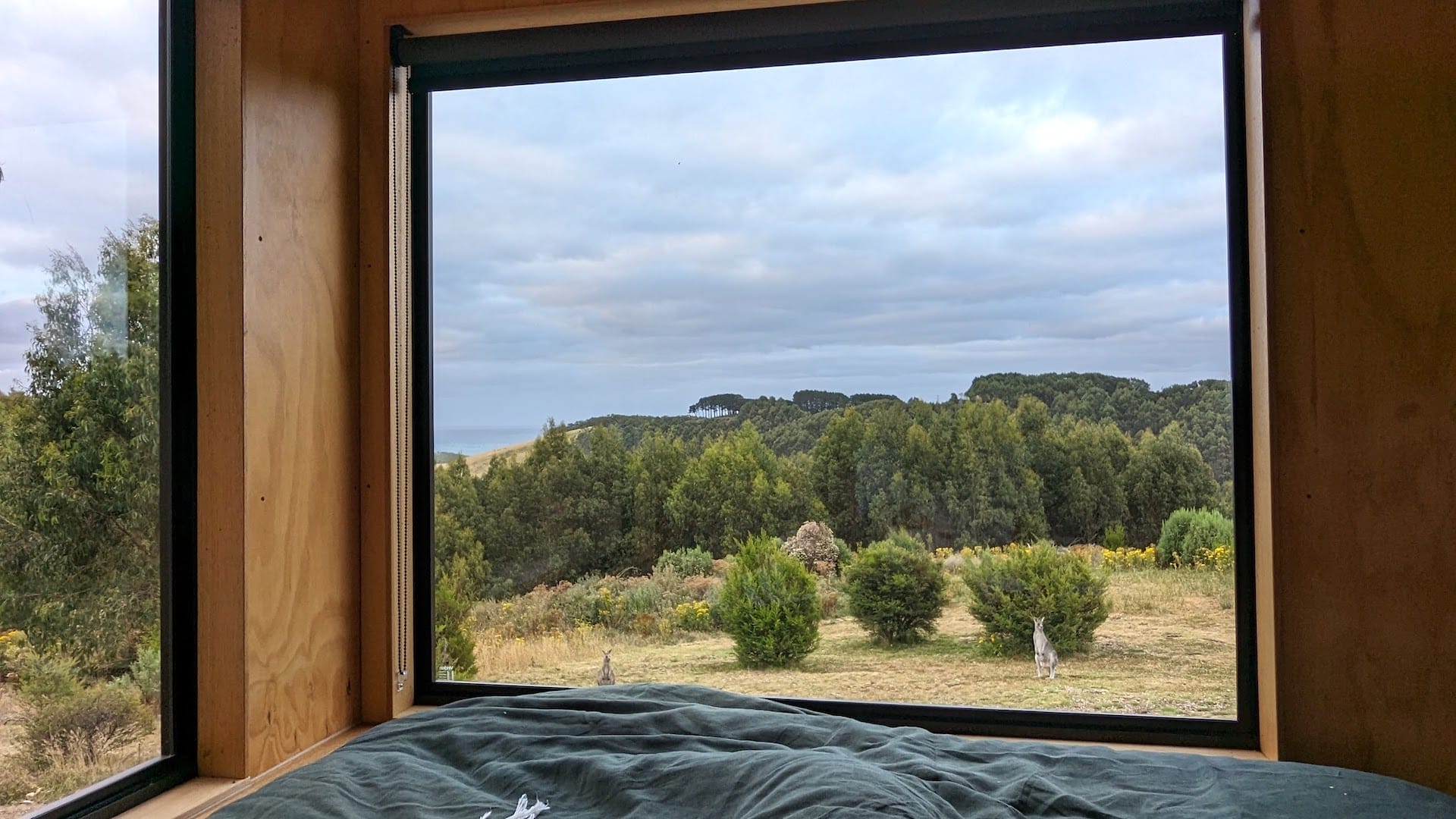 I Took Part in the Unyoked x AllTrails Global Nature Study and the Results Are In, Photo by @jessleenehme, Govind Cabin, Great Ocean Road, Johanna Beach. Kangaroos, window, tiny house