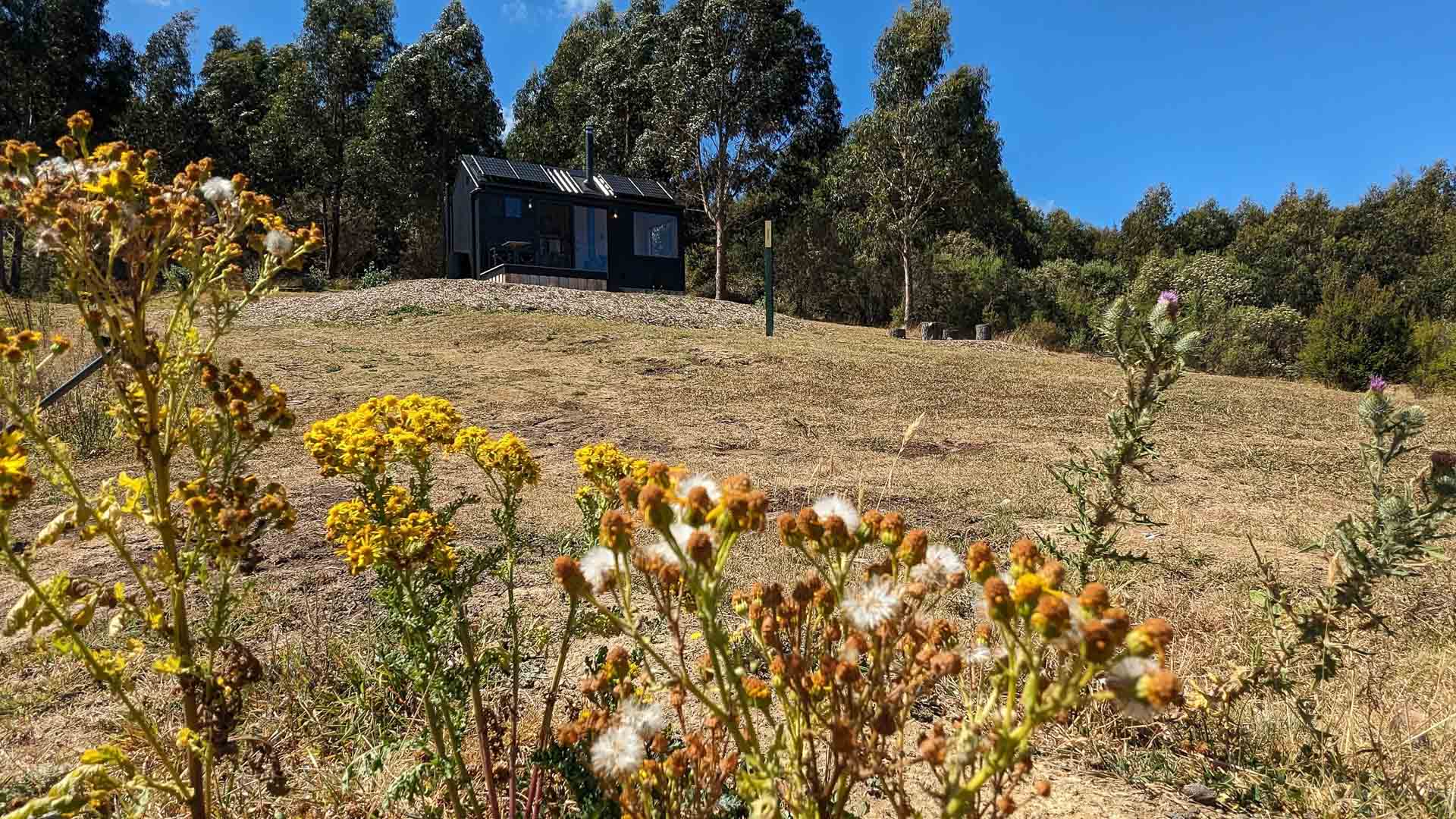 I Took Part in the Unyoked x AllTrails Global Nature Study and the Results Are In, Photo by @jessleenehme, Unyoked Govind Cabin, Great Ocean Road, Johanna Beach. 