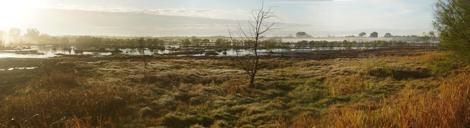 10 Best Walks Near Brisbane 2024, Queensland, shot by @bertnot . wetlands, boondall wetlands walk