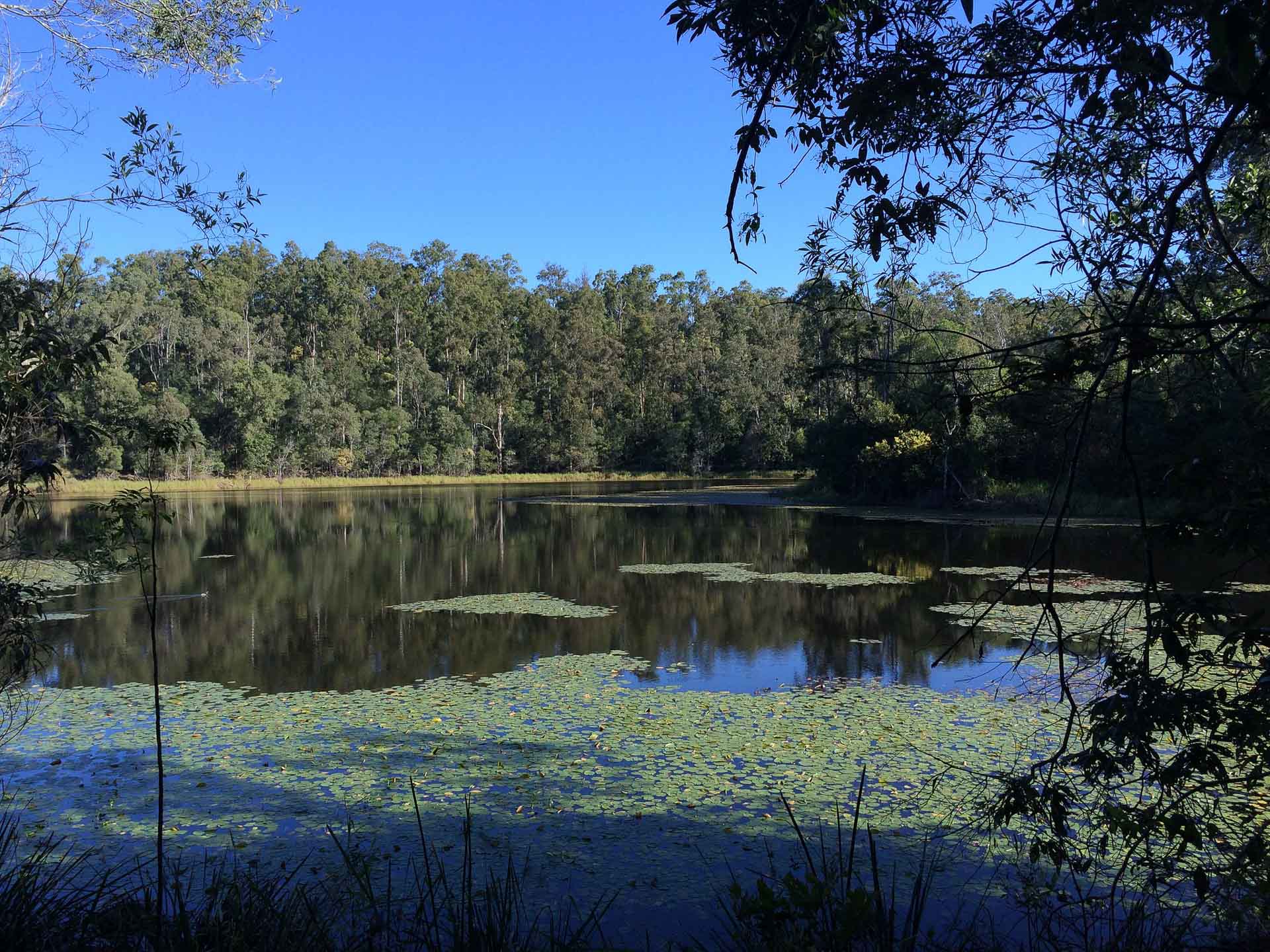 10 Best Walks Near Brisbane 2024, Queensland, shot by @tamyka on Flickr. Enoggera reservoir, blue lake,
