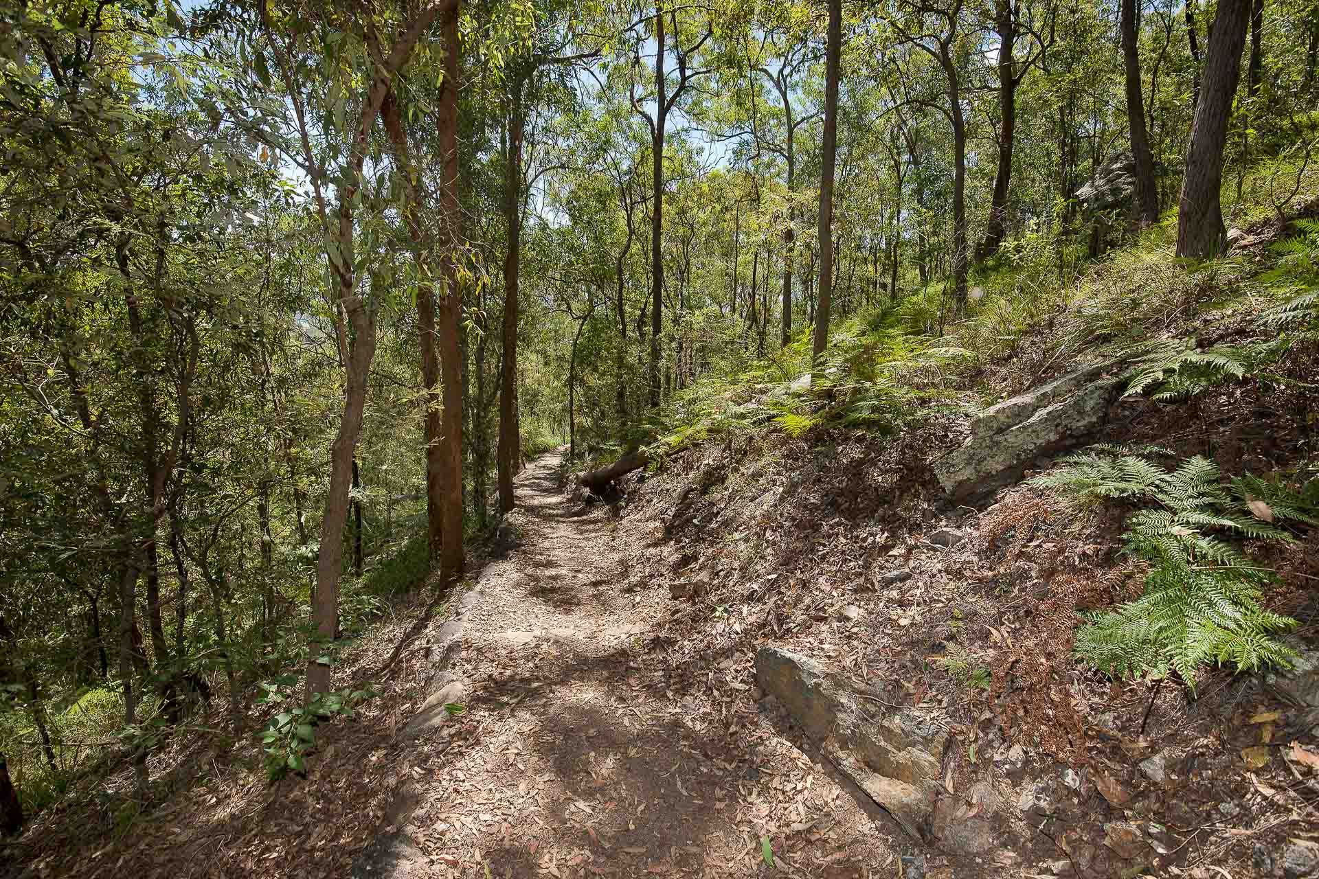 10 Best Walks Near Brisbane 2024, Queensland, shot by Lyle Radford on Flickr. Mt Gravatt, Mount Gravatt, hiking trail