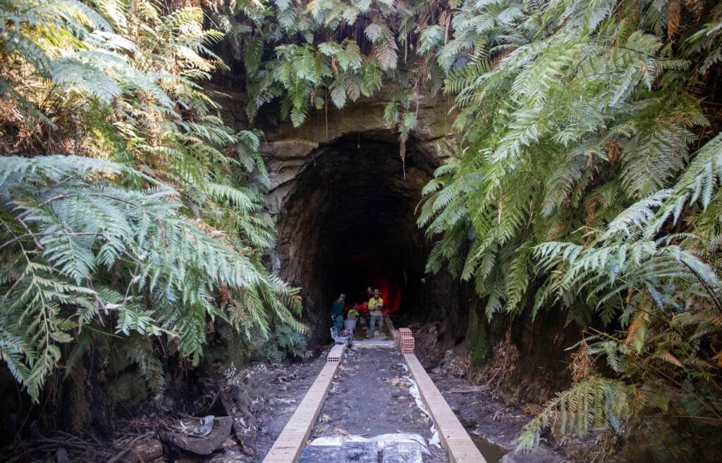 Pathway construction | Credit Taku Kjelgaard CloudHerd Commercial