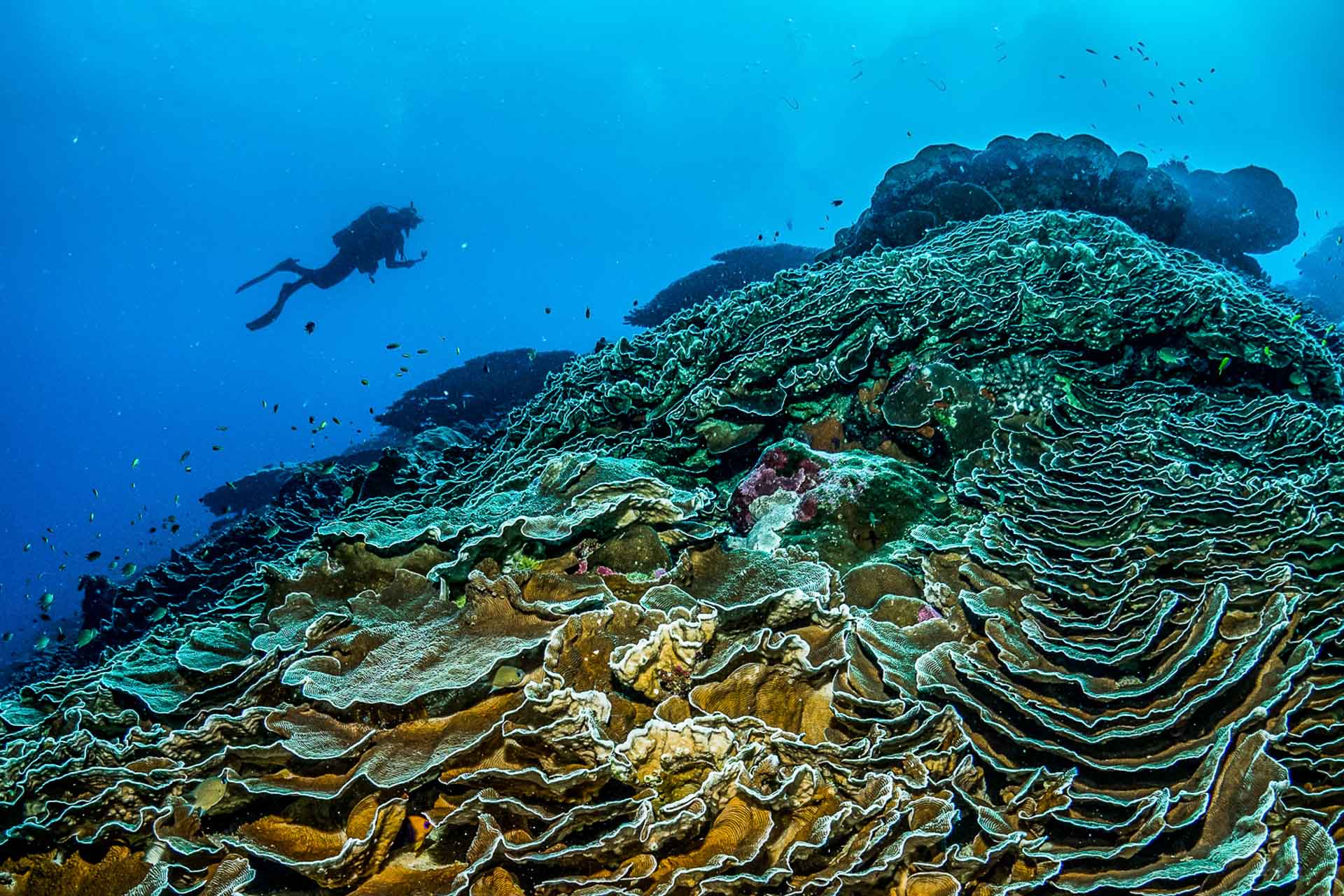 cocos keeling island tourism association