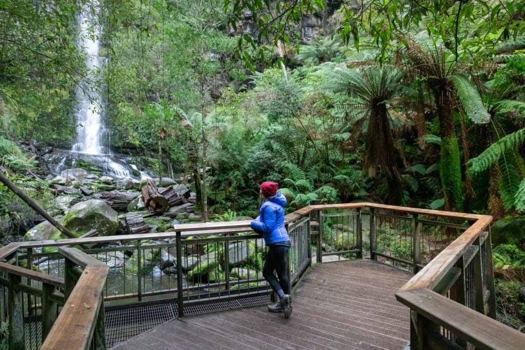 Erskine Falls Upgrade Parks Victoria