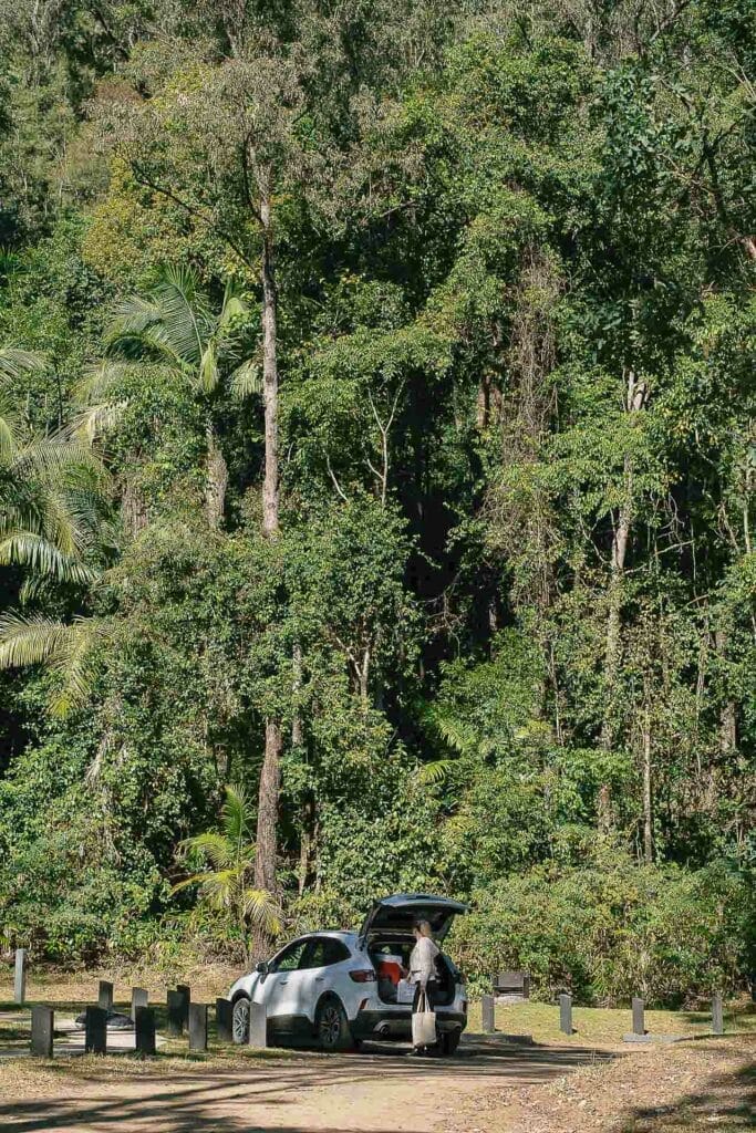 Kyogle Road Trip: 3 Days Exploring This Untapped NSW Region, Photo by Alex Mitcheson, Kyogle Council, Northern Rivers, North Coast, Northern NSW, car, camping