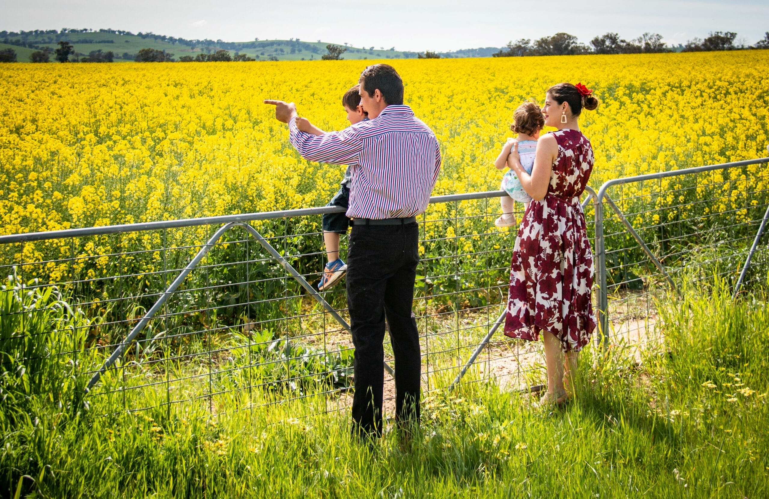 A family enjoy the canola in Cowra in Spring, Credit Cowra Tourism