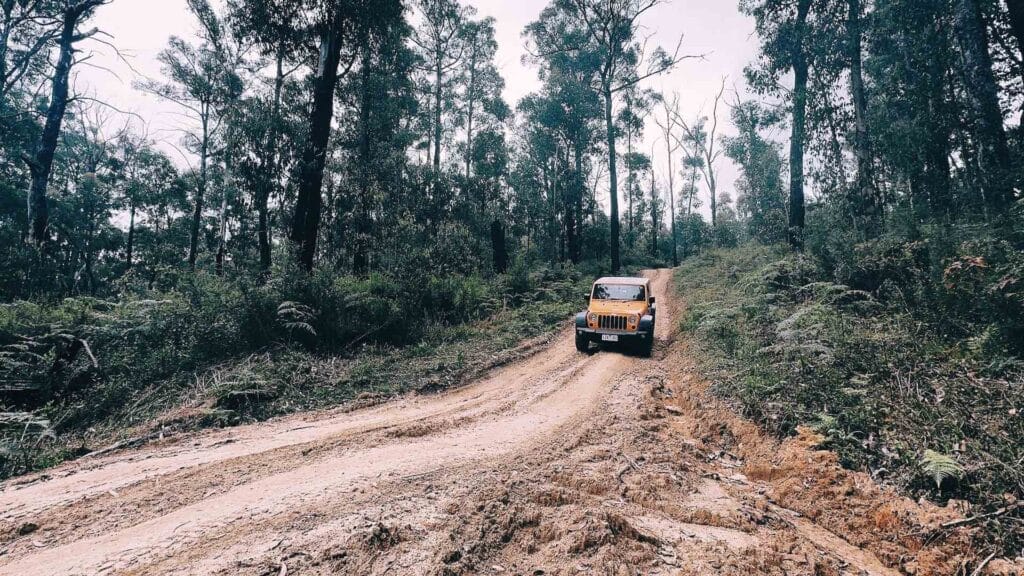 A Love Letter to My 4WD, Ally Burnie, Kaon, Jeep, car, 4WD, Bunyip State Forest, mud, track