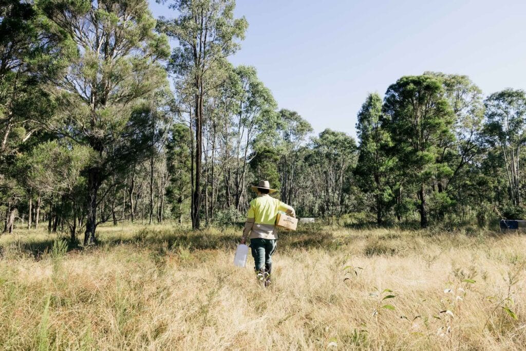 Yiraaldiya Feral Predator Free Area