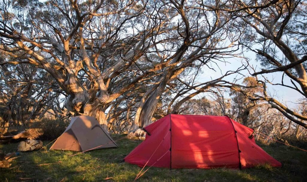 Helicopter Spur & Mt Howitt // Victorian High Country (VIC) Victoria Lachie Thomas Victorian High Country Mt. Howitt Mountain camping tent
